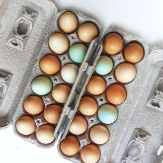 Beautiful, Free Range, Organic Rainbow Eggs! (1 dozen)