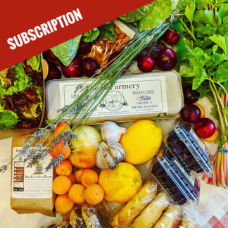 OUR #1 | Bounty Box (Subscription)