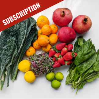 CUSTOMER FAVORITE | Smoothie Bounty Box (Subscription)