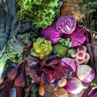 NEW | The Green Bounty Box