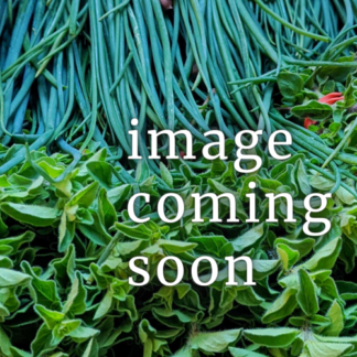 PREORDER NOW | Capay Mills Heirloom Flours